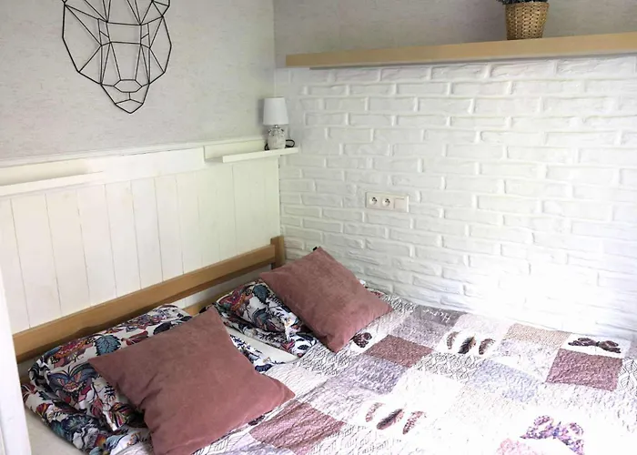 Apartment U Renaty Miedzybrodzie Bialskie *