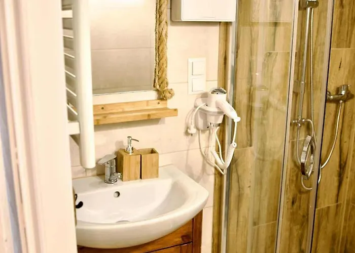 Apartment U Renaty Miedzybrodzie Bialskie *